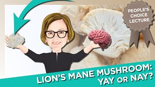 Lions Mane Mushroom for Brain Health Yay or Nay [upl. by Goode405]