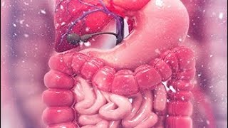 Diverticulum part 1 [upl. by Aarika]