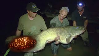 Monstruous 1467lbs Wels Catfish  CATFISH  River Monsters [upl. by Gilbertson]