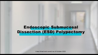 Endoscopy Procedures  Endoscopic Submucosal Dissection ESD Polypectomy [upl. by Gale]