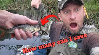 how many fish will I save out of this lake in one hour FISHING fishing angling flyfishing [upl. by Nirb]