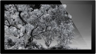 How To Convert Images To Infrared  Infrared Photography [upl. by Edin]