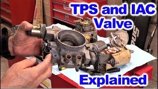 How the Throttle Position Sensor TPS and Idle Air Control Valve IAC Work [upl. by Yramanna]