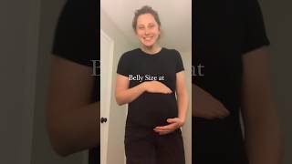 31 Weeks Pregnant Belly [upl. by Drofiar]