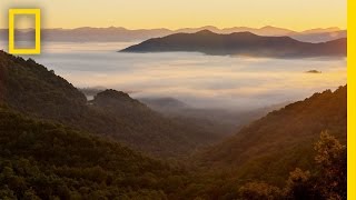 Best Of Great Smoky Mountains National Park  Americas National Parks [upl. by Ahsikel411]