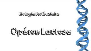 Operon Lactose  Cours et Exercice [upl. by Hannan835]