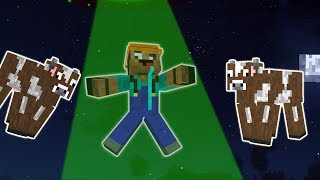 ABDUZIDOS POR ALIENIGENAS NO MINECRAFT DESASTRES NATURAIS MINIGAME [upl. by Gweneth]