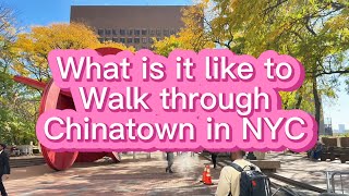 What is it like to Walk Through Chinatown in NYC [upl. by Kcirdef389]