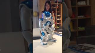 Nao robot introduces himself and blips [upl. by Adeehsar434]