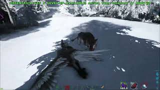 Mastering Argentavis Combat  ARK Survival Evolved [upl. by Perla983]