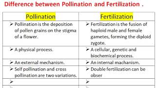 Difference Between Pollination and Fertilization [upl. by Taveda264]