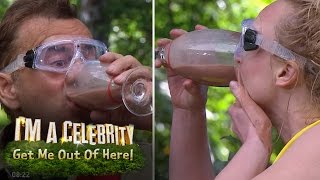 Croc Creek Win Gruesome Blended Bugs Drinking Challenge  Im A Celebrity Get Me Out Of Here [upl. by Eselrahc]