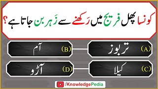 islami Urdu Paheliyan  Islamic Riddles  اسللامی سوال جواب اور معلومات  islamic Questions 621 [upl. by Htebaile]