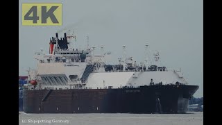 VENTURE GATOR  Shipspotting Germany 🇩🇪 IMO 9956599  River Elbe near City Otterndorf  4K VIDEO [upl. by Atnahc349]