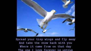 Anne Murray  Snowbird with lyrics [upl. by Hollingsworth]