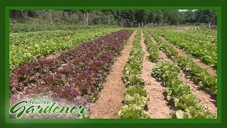 Biodynamic vs Organic Farming Practices  Volunteer Gardener [upl. by Dyal]