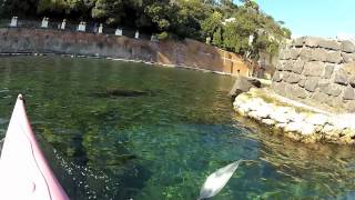 Napoli in canoa le Ville di Posillipo HD [upl. by Nauqit]