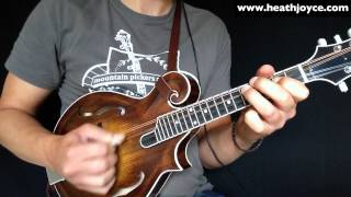 The Swallowtail Jig Mandolin [upl. by Emawk]