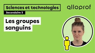 Les groupes sanguins et la compatibilité sanguine  Sciences et technologies  Alloprof [upl. by Glynn]