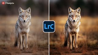 FREE Lightroom Preset quotWildlifequot Before amp After [upl. by Ennelram]