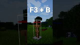 How to Show Hitboxes minecraft [upl. by Fahey]