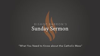 What You Need to Know about the Catholic Mass — Bishop Barron’s Sunday Sermon [upl. by Aedni723]