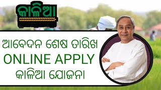 kalia yojana online apply last date 2023  kalia yojana new update  odisha [upl. by Eiser]