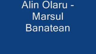 Alin Olaru  Marsul Banatean [upl. by Secor]