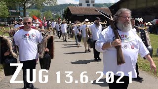 Zug 13062021 Stiller Protest  Protestmarsch mit den Freiheitstrychlern [upl. by Millur465]