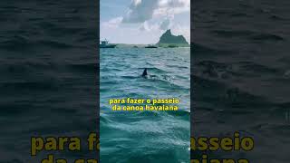 O que fazer em Fernando de Noronha Roteiro Viagem  Viagem com Pontos Tales Toledo [upl. by Sadira811]