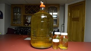 Making White Wine from Juice 2016 Pinot Grigio [upl. by Grimbly]