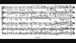 Brahms  O Heiland reiß die Himmel auf motet Op 74 No 2 [upl. by Datha]