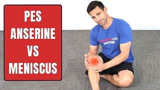 Pes Anserine Bursitis Vs Medial Meniscus Injury [upl. by Ramsden835]