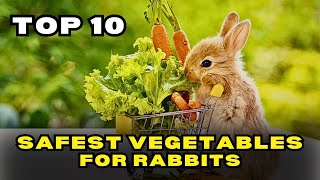 Top 10 Safest Vegetables for Rabbits [upl. by Euqininod453]