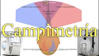 Campimetría Técnica Principios e Interpretación [upl. by Gascony629]