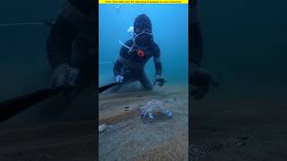 The boy caught strange crabs and sea creatures।😱shortvideo amazingfacts [upl. by Gorges]