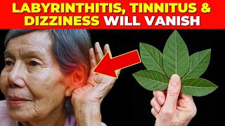 Plant 1 that Vanishes Labyrinthitis Tinnitus and Dizziness Instantly How to use it [upl. by Nwahsal339]