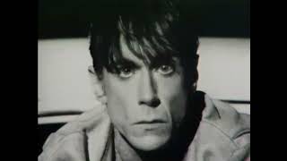 Iggy Pop  Real Wild Child Wild One Official Video Full HD Digitally Remastered and Upscaled [upl. by Clemence]