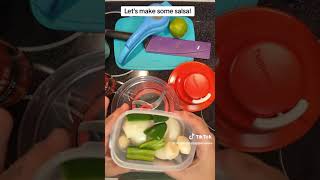 Making Sales in my Tupperware SuperSonic Chopper Extra [upl. by Hsejar4]