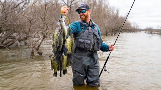 WADE FISHING for CRAPPIE Catch Clean Cook Spring Spawn [upl. by Peursem]