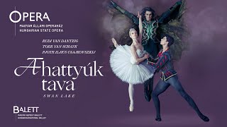 van Dantzig–van Schayk  Csajkovszkij A hattyúk tava  Swan Lake trailer 2015 [upl. by Marler]