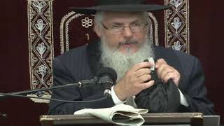 Rabbi Yosef Sayagh Shatnez Update Bekeshes Taleisim amp UGGS [upl. by Ycaj]