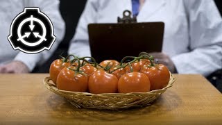 The Foundation SCP 504  Critical Tomatoes [upl. by Sikko]