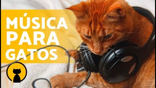 MÚSICA RELAJANTE para GATOS 🐱🎶 ¡Relaja y Calma a tu Gato en Minutos [upl. by Baniez349]