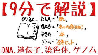 生物基礎 第2章 DNA、遺伝子、染色体、ゲノム [upl. by Ailito]