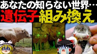 【驚愕】遺伝子組み換えで生まれた生物7選 [upl. by Aikemahs]