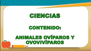 Animales ovíparos y ovovivíparos  Ciencias  Segundo grado [upl. by Sillsby]