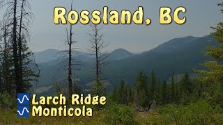 Best Intermediate MTB Trails in Rossland BC  Larch Ridge and Monticola [upl. by Tattan]