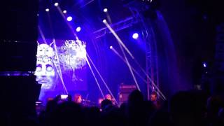 No Safe Harbor  SubRosa Subdued live  Roadburn 2017 [upl. by Ynohtnaleahcim]