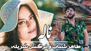 Narges Sureila amp Taher Shabab  Nala Official Video 2023 [upl. by Nydnarb]